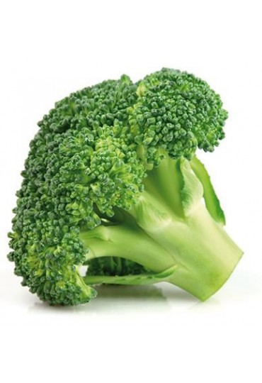 BROCOLI