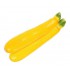 CALABACIN AMARILLO