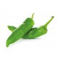 PIMIENTO EMILICO