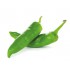 PIMIENTO EMILICO
