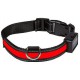 COLLAR FLASH