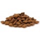 CAT MALT BITS 40GR