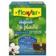 AQUAPLANT CRISTAL CONCENTRADO 100 GR