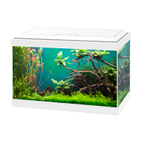 ACUARIO AQUA 60 LED BLANCO