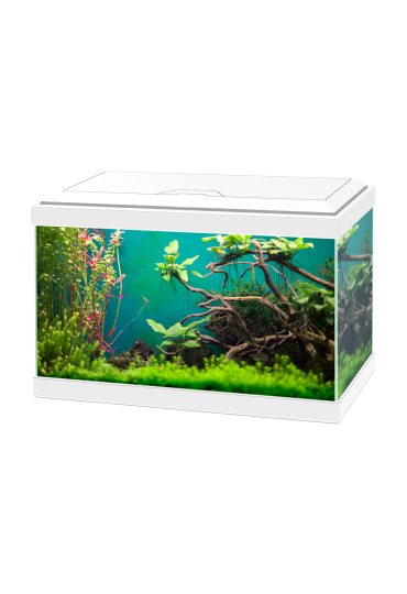 ACUARIO AQUA 60 LED BLANCO