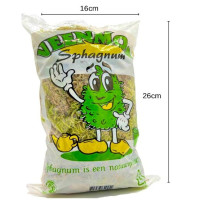 SPHAGNUM MUSGO DE TURBA