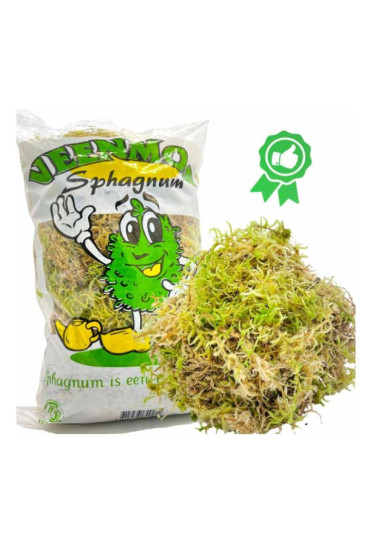 SPHAGNUM MUSGO DE TURBA