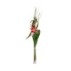Lilium Natural Con Adorno