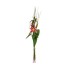 Lilium Natural Con Adorno