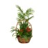 Cesta De Mimbre Con Plantas Garden