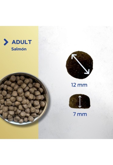 Lobo Azul Grain Free Adult Salmon 12Kg