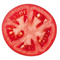Tomate Gordo Encañar Pack 12