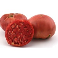 Tomate Rosa