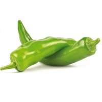 Pimiento Italiano F1