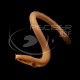 Pez Serpiente Calamita