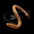 Pez Serpiente Calamita