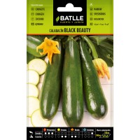 Batlle Semila Calabacin Black Beauty