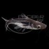 Pangasius Surtido