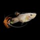 GUPPY HEMBRA