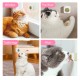 Bola Para Lamer Gato