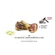 Mediterranean 1/2 Hueso De Jamon 2P