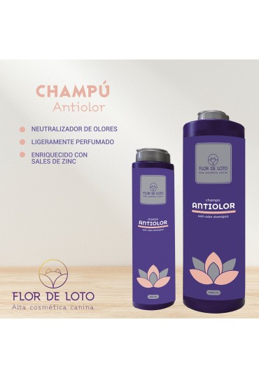 Fdl Champu Antiolor 300 Ml