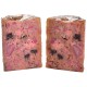 Carnilove Canine Adult Salmon Pavo 400Gr