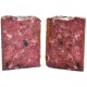 Carnilove Canine Adult Venado Reno 400Gr