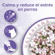 Beaphar Calming Collar Perro 65Cm