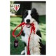 Dispensador De Bolsas Athletic Club