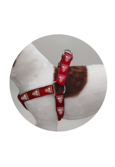ARNES PARA PERRO ATHLETIC CLUB