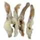 Oreja De Conejo 1Kg
