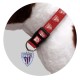 Chapa Para Perro Athletic Club