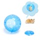 Pelota De Ejercicio Hamster M