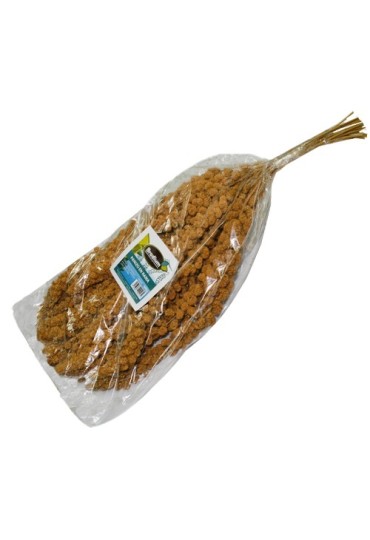 Bradium Panizo En Rama Mijo Frances 400 Gr