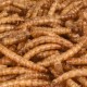 Picnick Gusanos De La Harina 100Gr