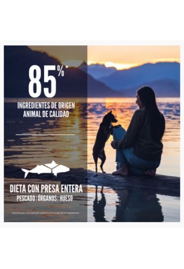 ORIJEN MARINE FISH SMALL