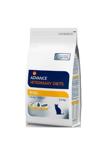 Advance Renal Failure Feline