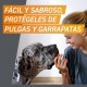 FRONTPRO COMPRIMIDO MASTICABLE