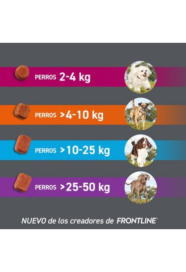 FRONTPRO COMPRIMIDO MASTICABLE