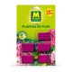 Bastoncitos Fertilizantes Plantas Flor
