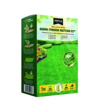 Cynodon Dactilon (Bermuda Grass) 5 Kg