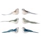 Pajaro Plumas Con Clip 8X11x5cm