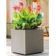 CUBO MILLENIUM SANDSTONE