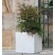 CUBO MOON