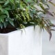JARDINERA MURO MOON