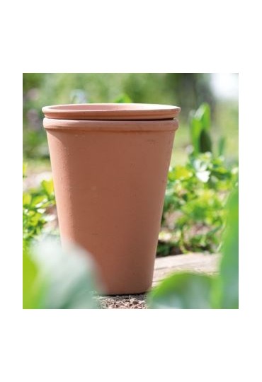 Aquado 15Cm Barro Rojo