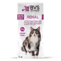 Diet Gato Renal 2Kg Bvs