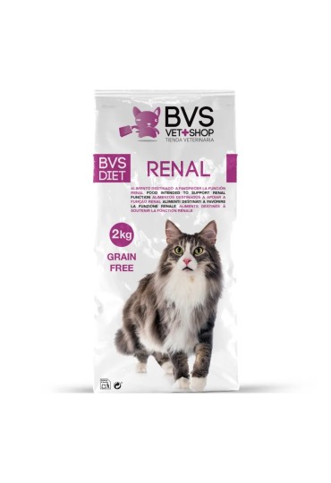 Diet Gato Renal 2Kg Bvs