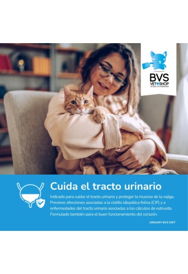 Diet Gato Urinary 2Kg Bvs